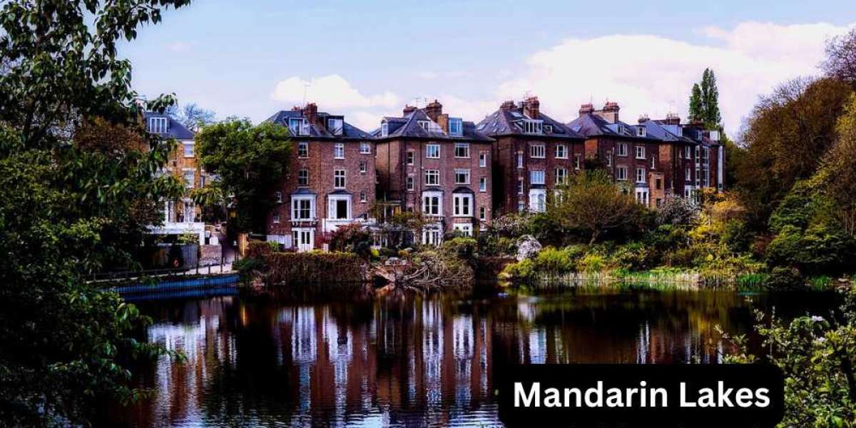 Comprehensive Overview of the Mandarin Lakes Neighborhood