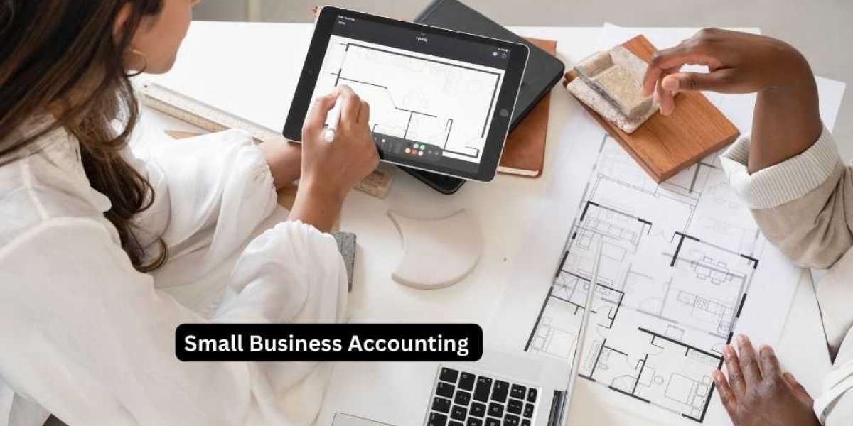 Small Business Accounting: A Comprehensive Guide