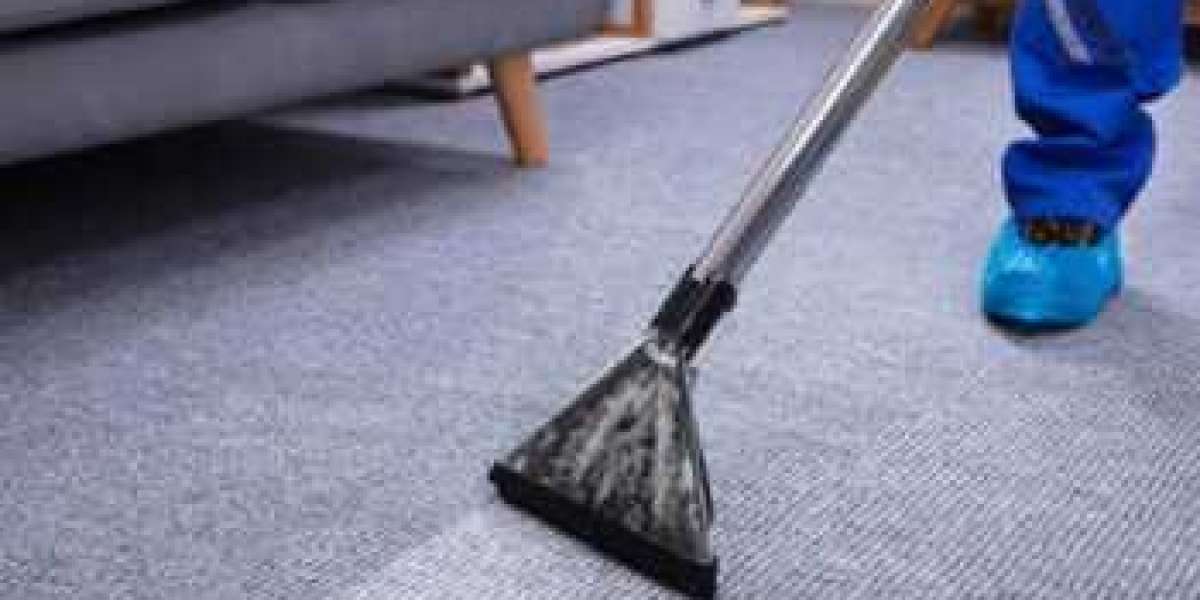 The Role of Carpet Cleaning in Creating a Healthier Home