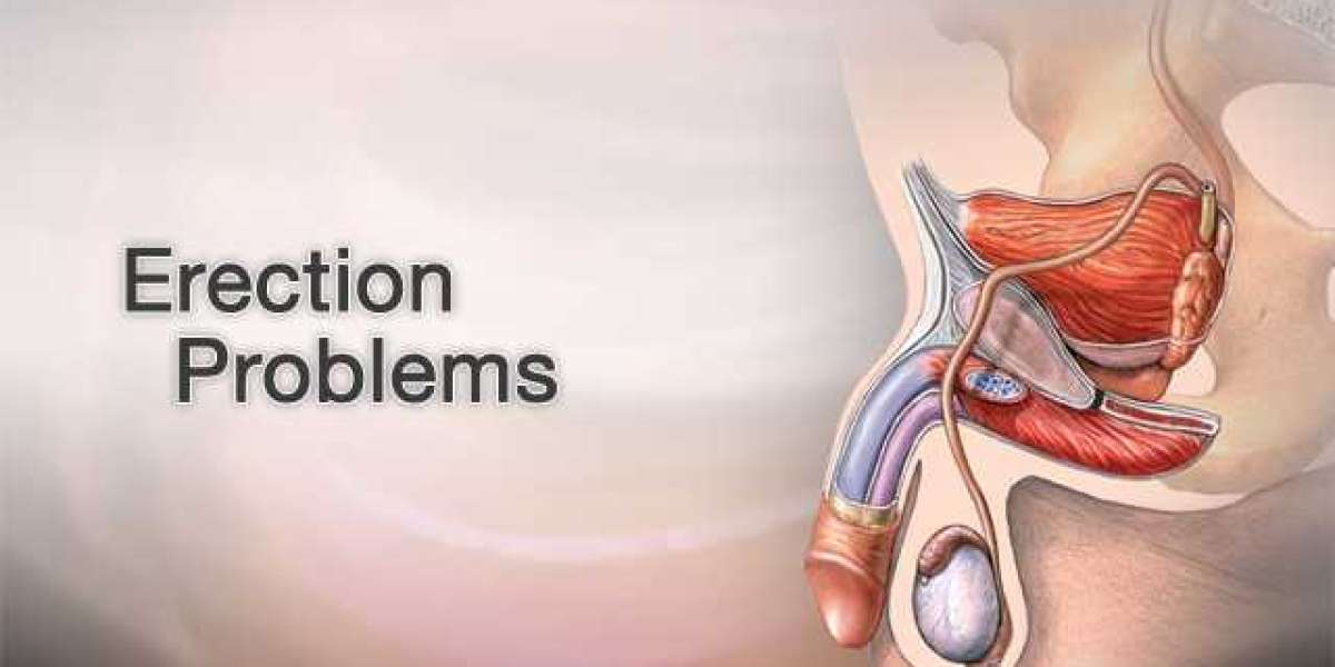 Building a Structure and the Physiological Process of Erection