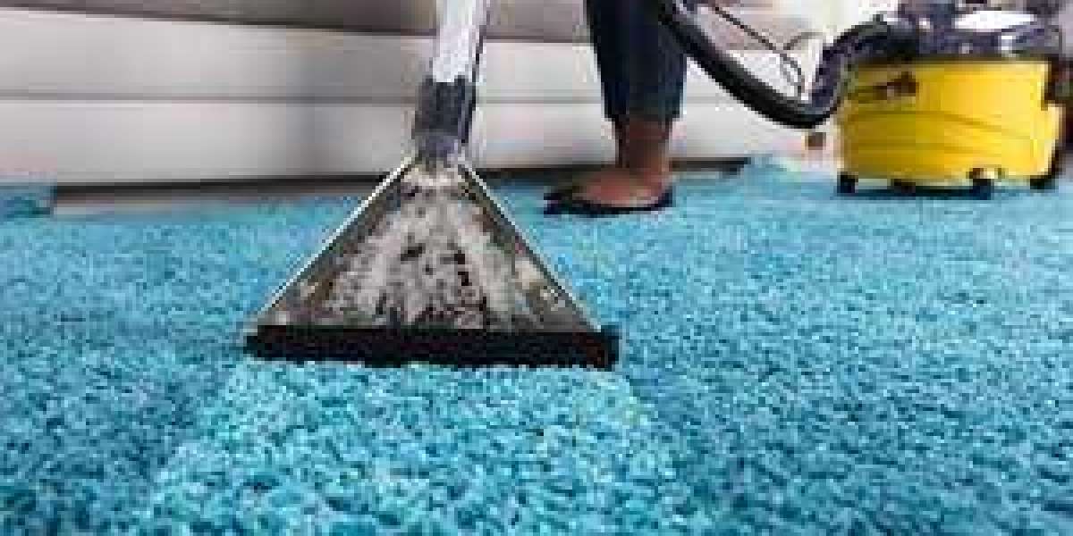 The Importance of Professional Carpet Cleaning for Home Health